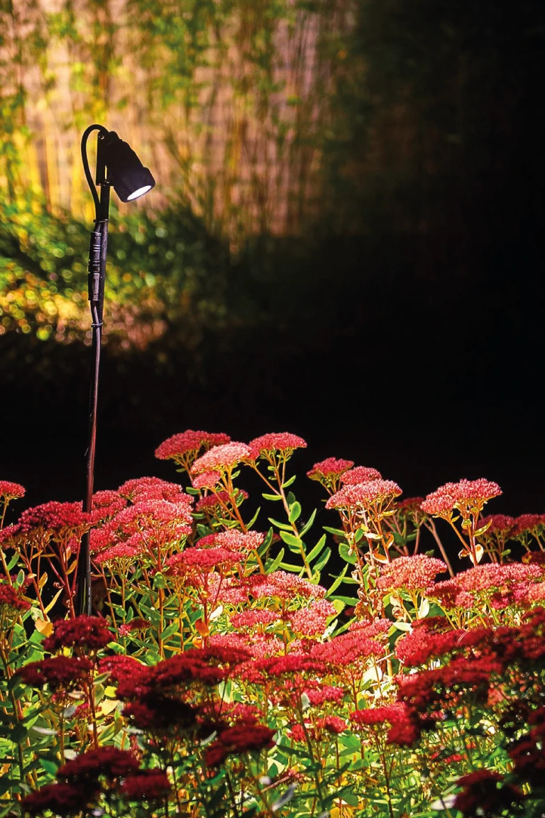 Suslight Grondpin 30 cm - Afbeelding 1